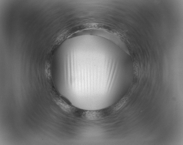 X0000054390766200508270034