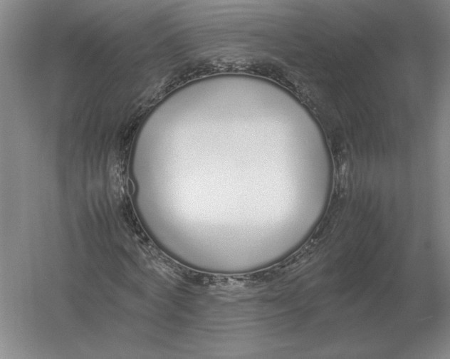 X0000054390772200508270033