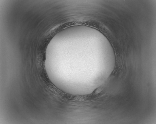 X0000054390773200508270033