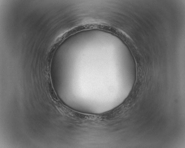 X0000054390775200508270033
