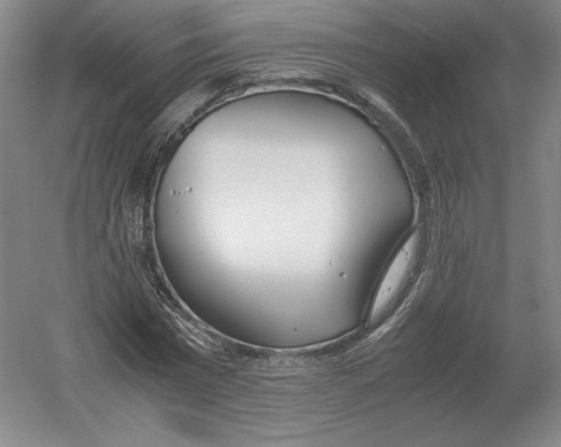X0000054390777200508270033