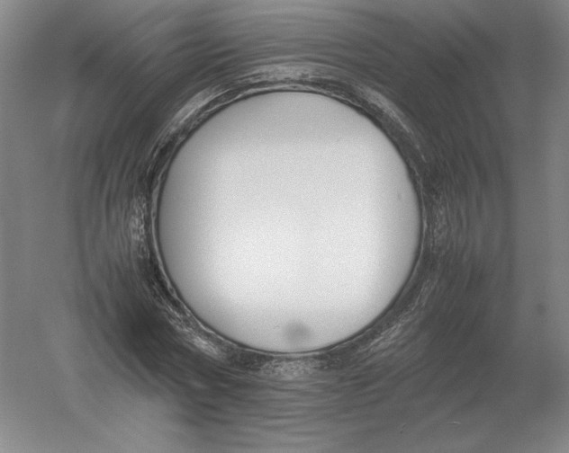 X0000054390778200508270033