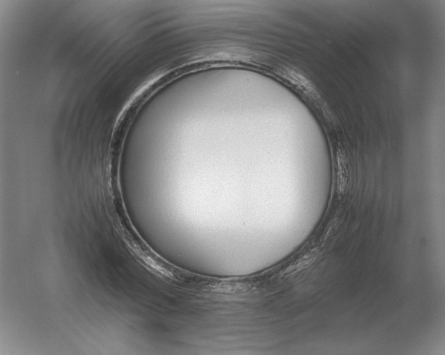 X0000054390780200508270033