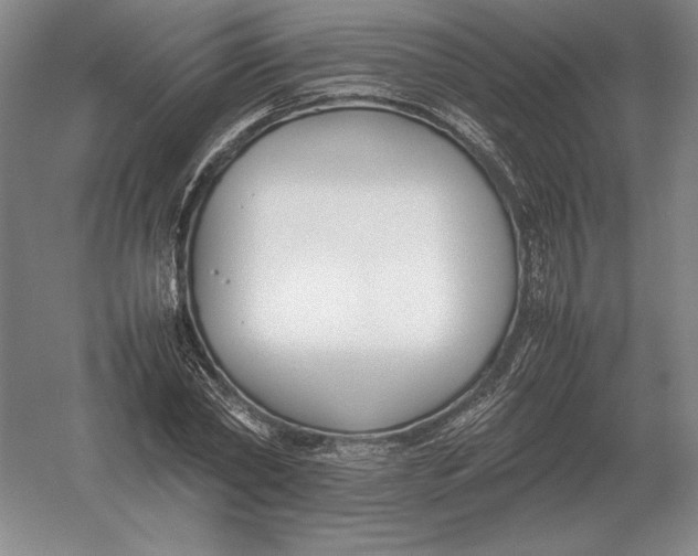 X0000054390782200508270033