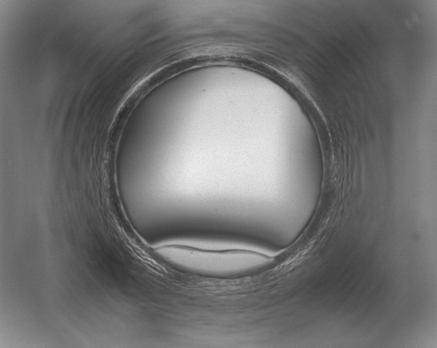 X0000054390783200508270033