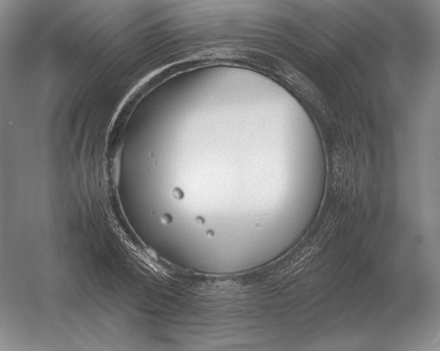 X0000054390784200508270033