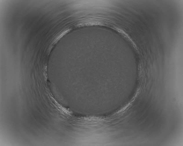 X0000054390785200508270033