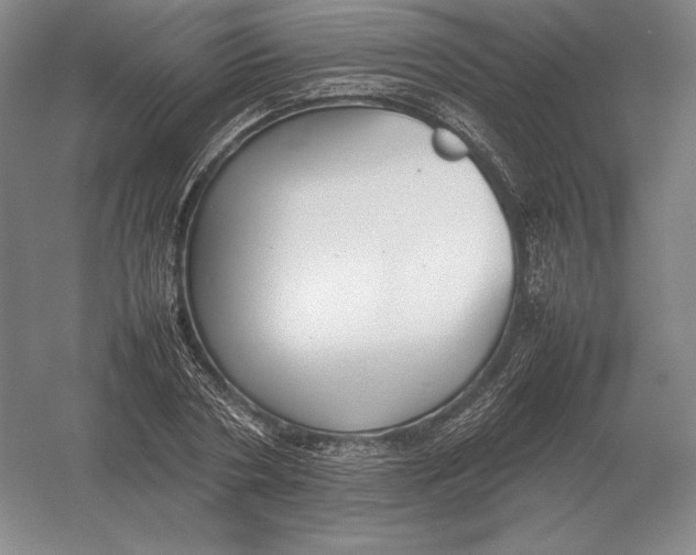 X0000054390786200508270033