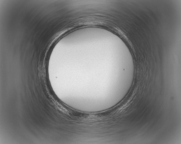 X0000054390787200508270033