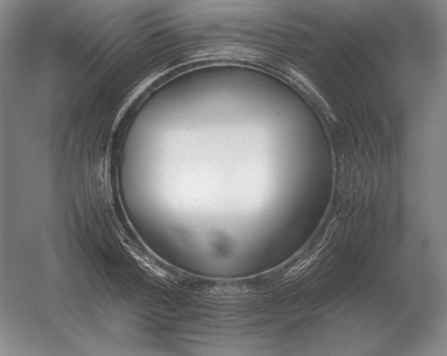 X0000054390788200508270033