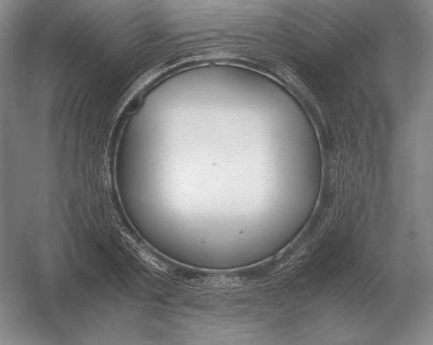 X0000054390789200508270033