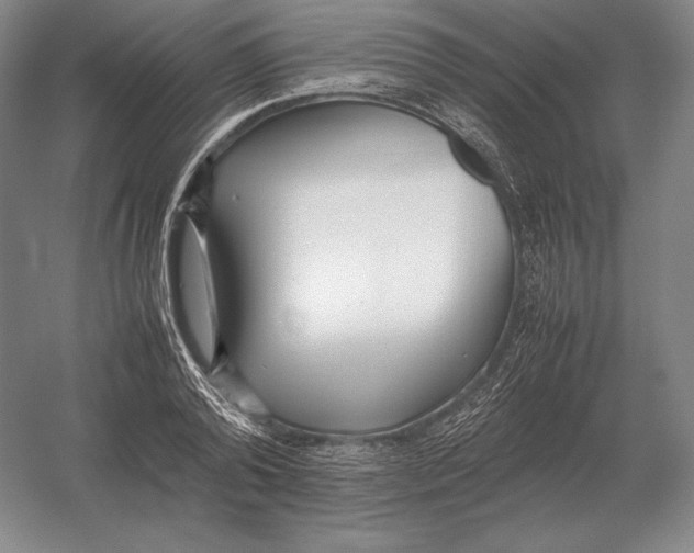 X0000054390792200508270032