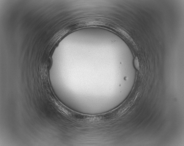X0000054390793200508270032