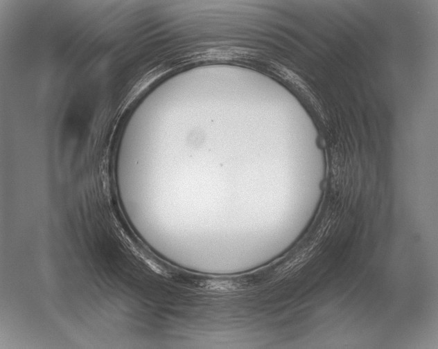 X0000054390794200508270032