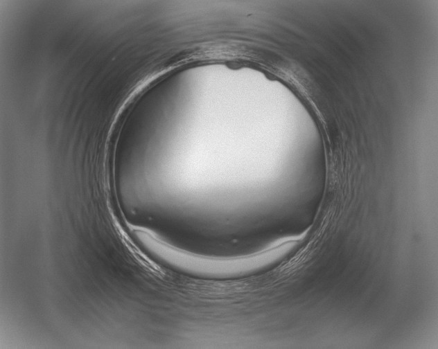 X0000054390795200508270032