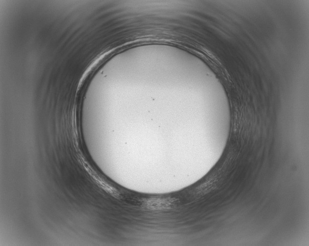 X0000054390796200508270032