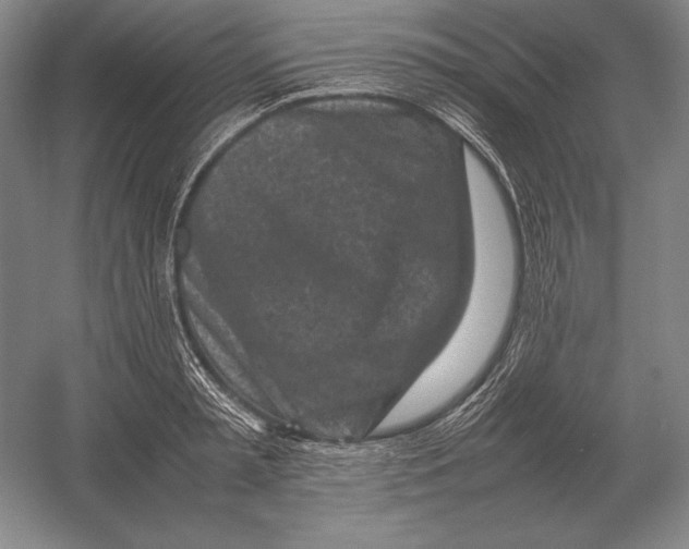 X0000054390797200508270032