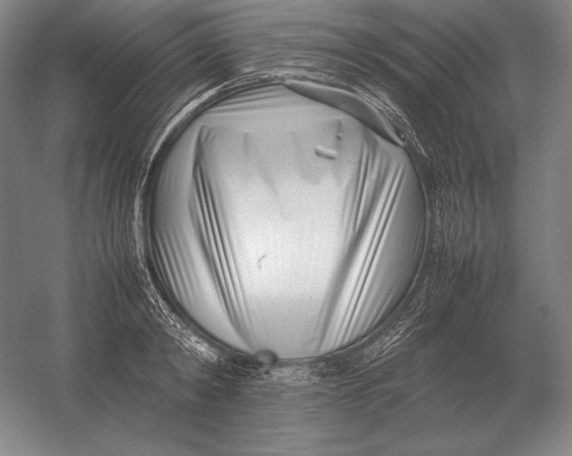 X0000054390798200508270032