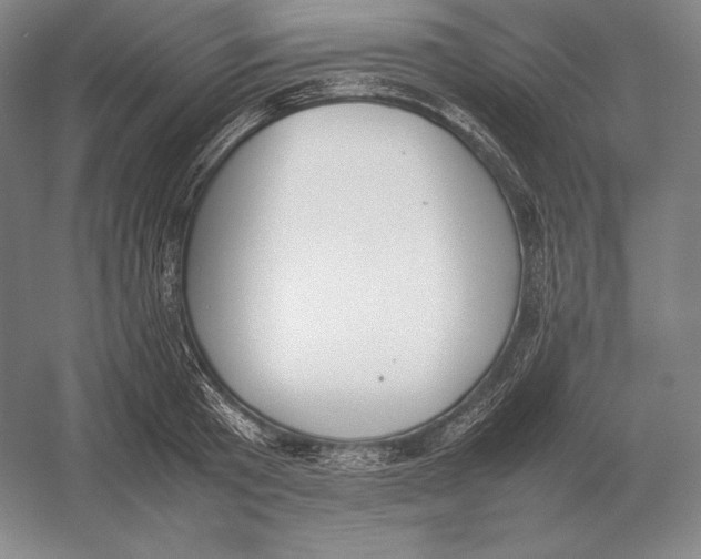 X0000054390801200508270032