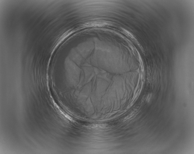 X0000054390802200508270032