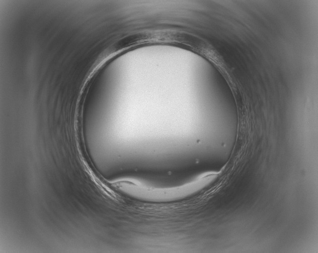 X0000054390803200508270032
