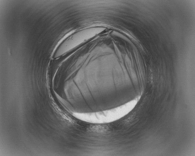 X0000054390806200508270032