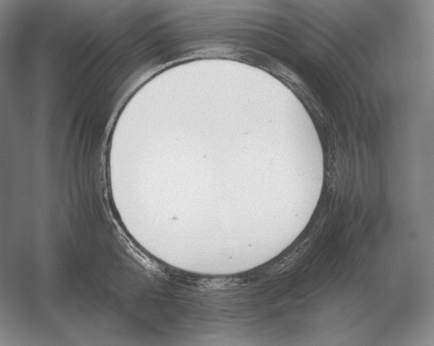 X0000054390808200508270032