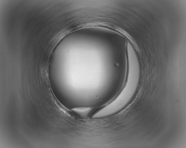 X0000054390809200508270032
