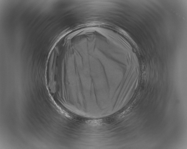 X0000054390810200508270032
