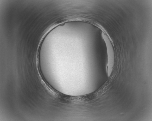 X0000054390811200508270032