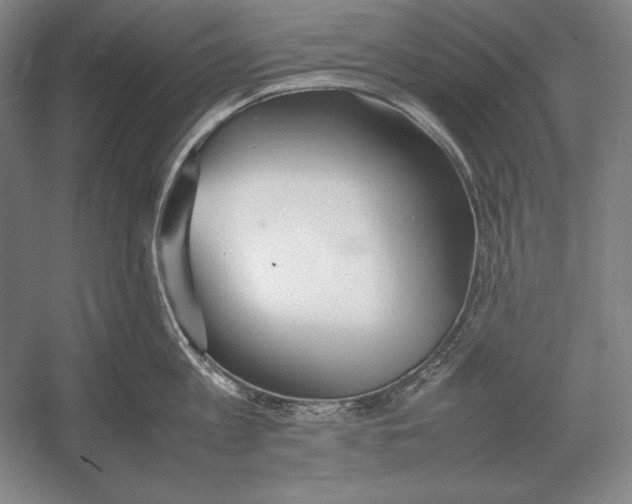 X0000054390813200508270032
