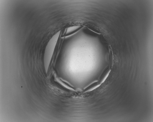 X0000054390818200508270031