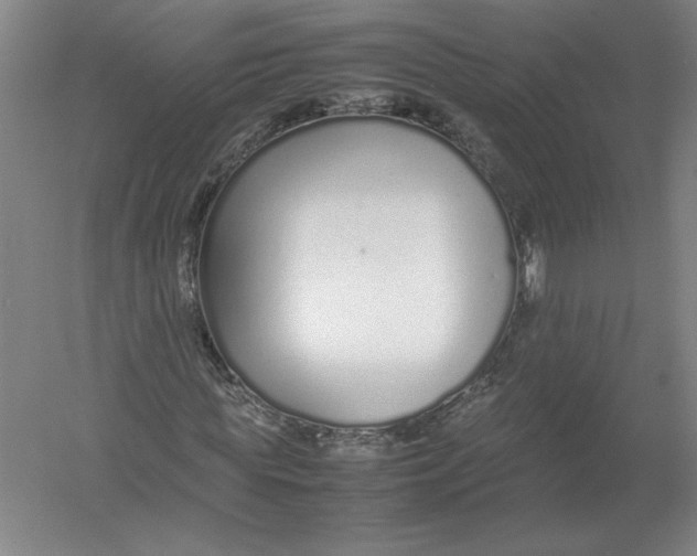 X0000054390819200508270031
