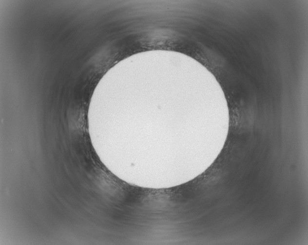 X0000054390820200508270031