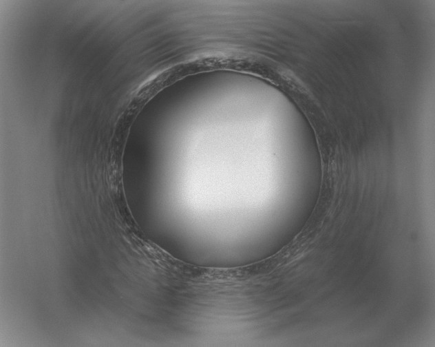 X0000054390822200508270031