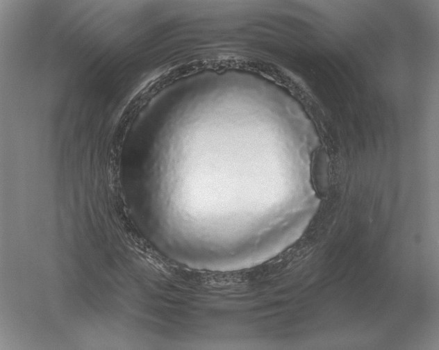 X0000054390823200508270031