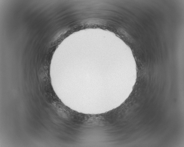 X0000054390824200508270031