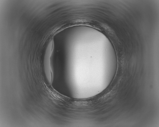 X0000054390825200508270031