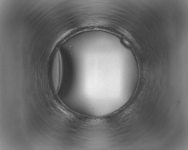 X0000054390826200508270031