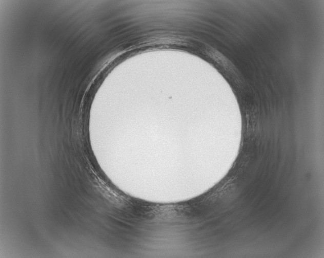 X0000054390828200508270031