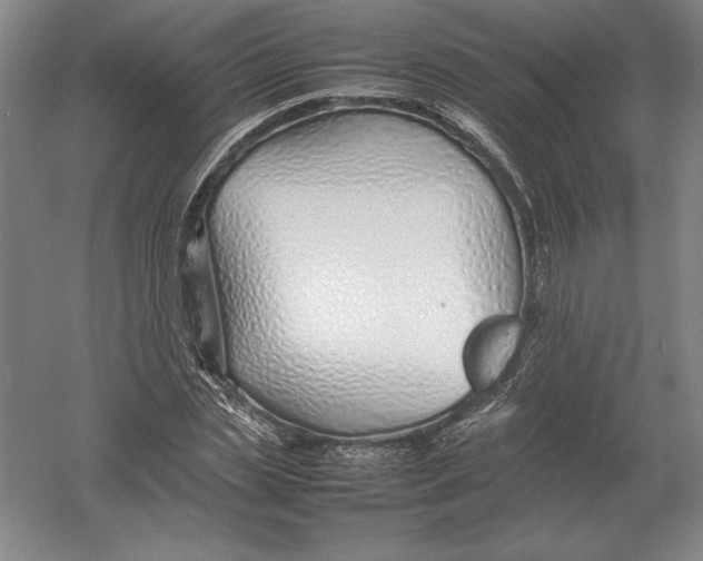 X0000054390829200508270031