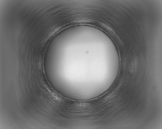X0000054390833200508270031