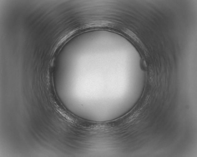 X0000054390834200508270032