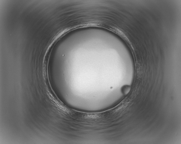 X0000054390835200508270032