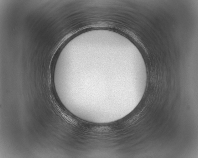 X0000054390837200508270032