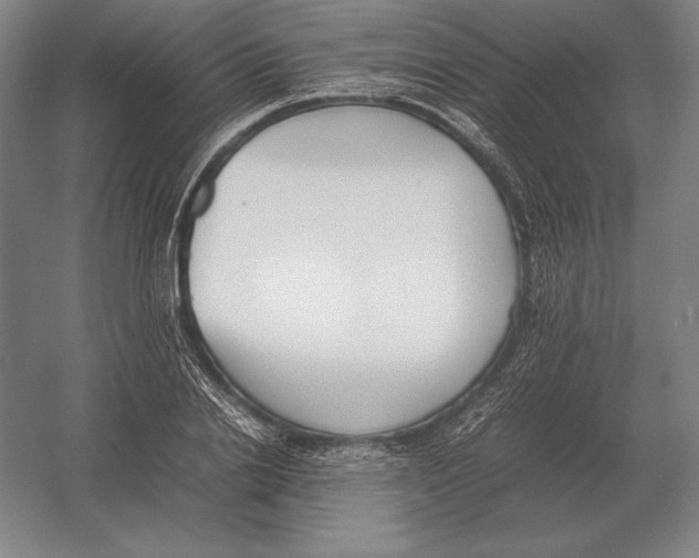 X0000054390838200508270032