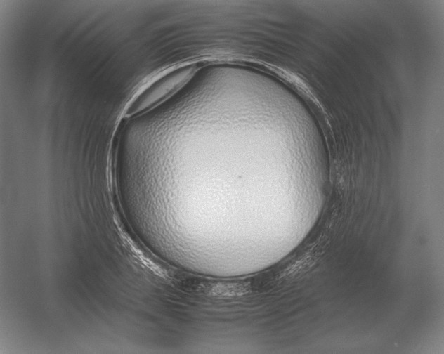 X0000054390839200508270032