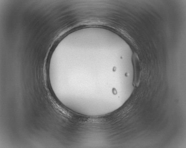 X0000054390840200508270032