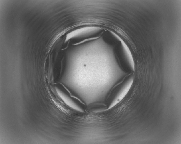 X0000054390842200508270032