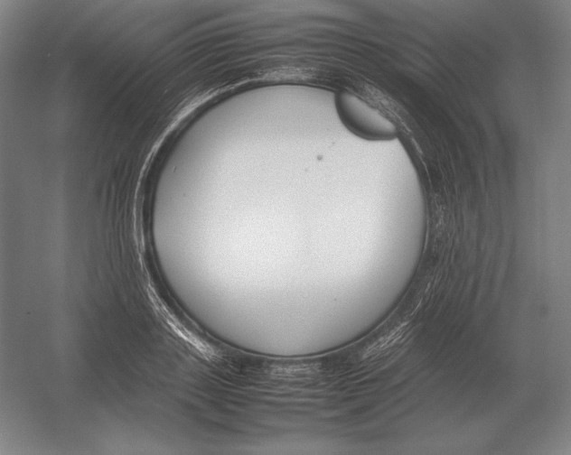 X0000054390843200508270032